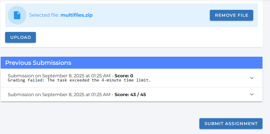 Screenshot showing the submit assignment button